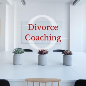 Texas divorce coach